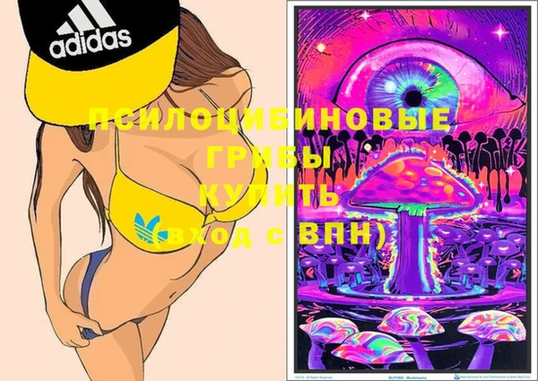 мяу мяу мука Арсеньев